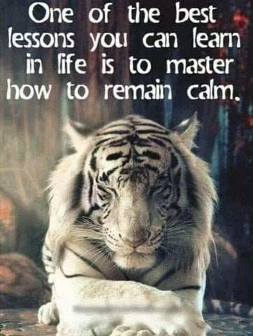 Life_Remain_Calm