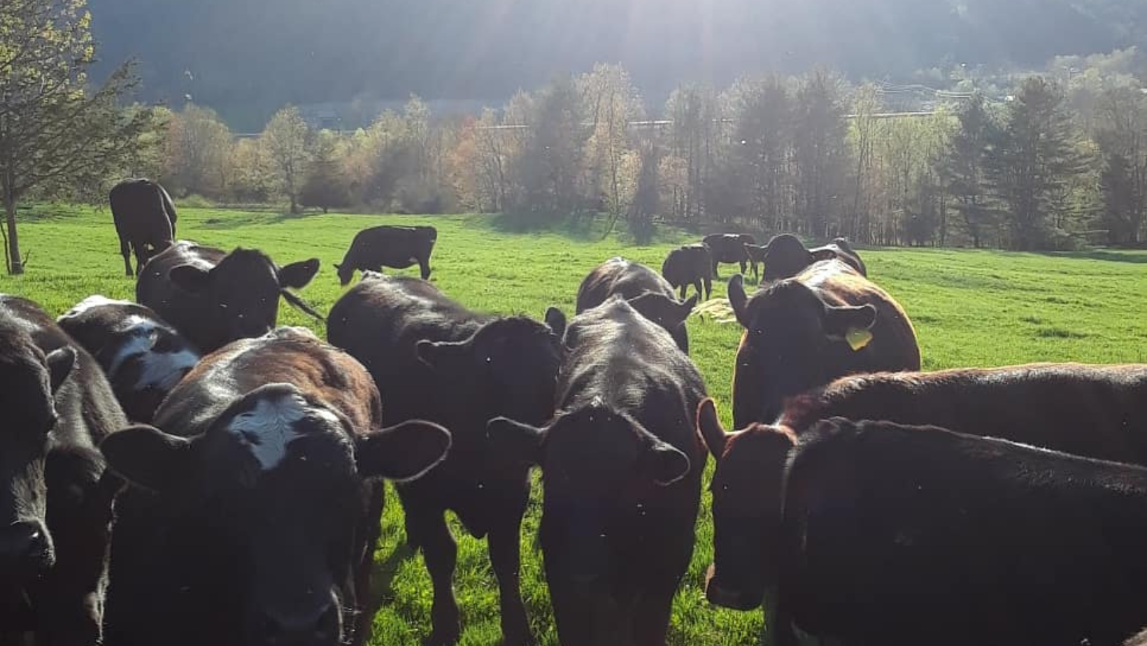 ARPA-Funded Grant for Primary Producers