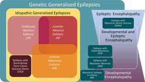 epilepsy
                          syndrome paper image