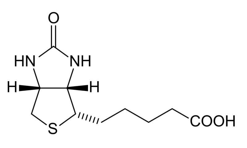 Biotin, mitochondria, and dementia