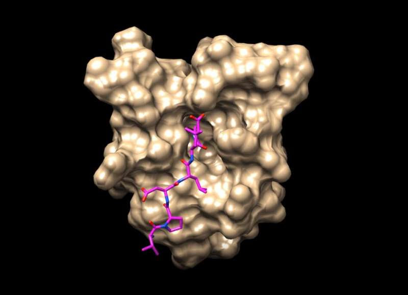 Australian scientists closer to combating long-term effects of COVID-19