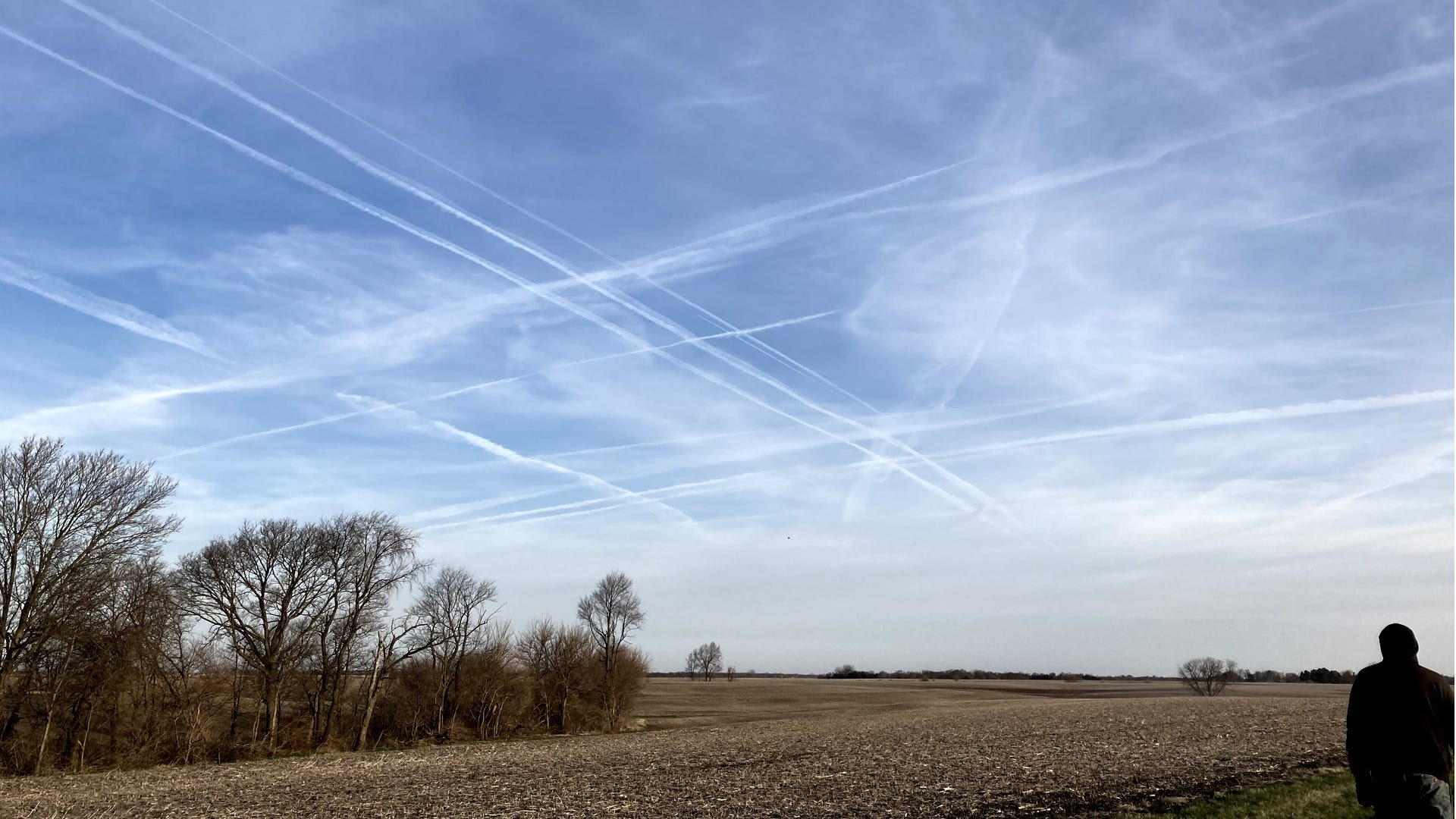 Will the Mass Poisoning of Our Skies Cause a Killing Field Effect? Https%3A%2F%2Fsubstack-post-media.s3.amazonaws.com%2Fpublic%2Fimages%2F142eb071-8164-4c0b-887d-bcdbe714088a_1920x1080