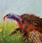 Spring Gobbler-mini painting - Posted on Thursday, March 26, 2015 by Veronica Brown