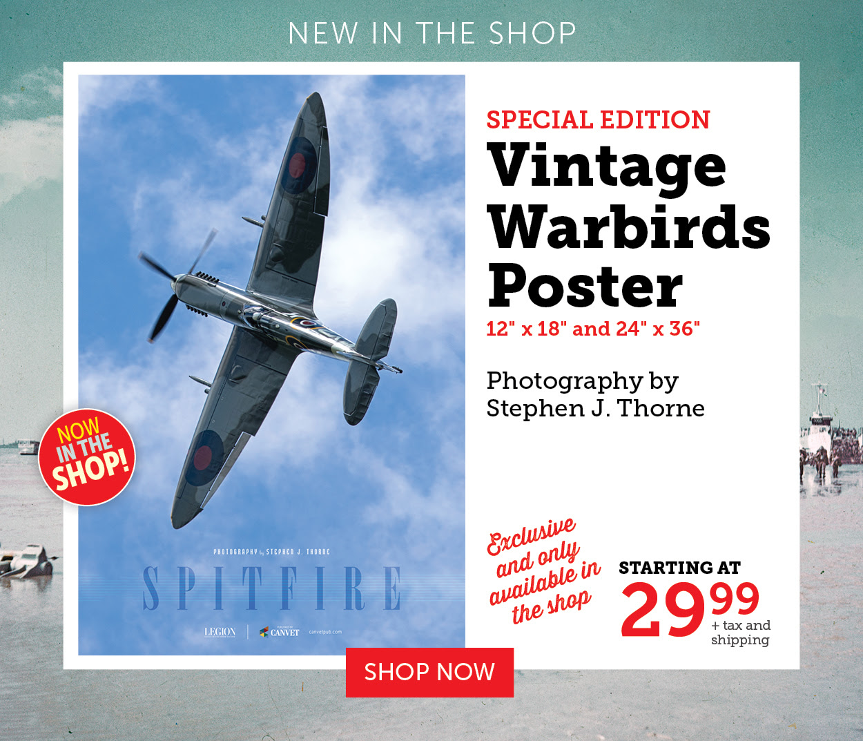 Vintage Warbirds Poster