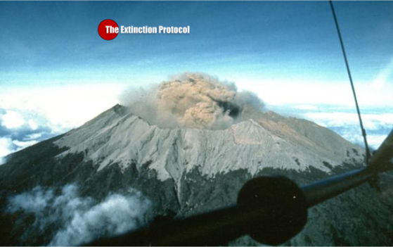 Indonesia raises alert as Mt Raung volcano erupts Mt
