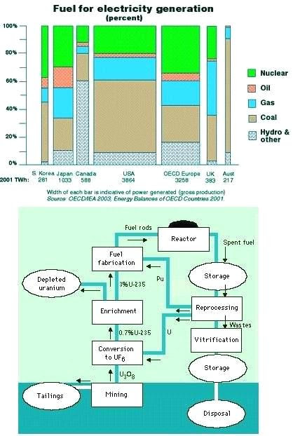 Nuclear Fuel Processing