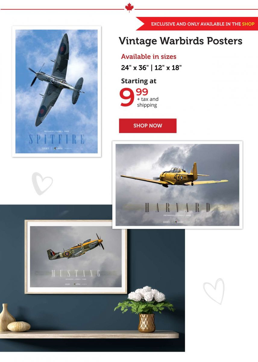 Warbirds Posters