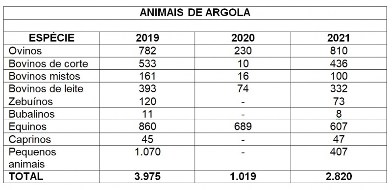 Animais argola Expointer2021