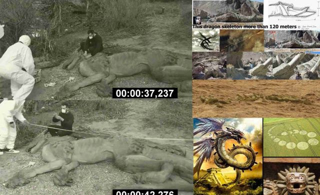 Video: discovered the corpse of the dragon is real?