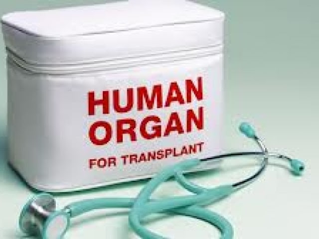 Enfermos de sida y
trasplante de órganos
