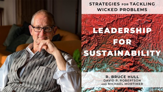 Leadership for Sustainability: Strategies for Tackling Wicked Problems