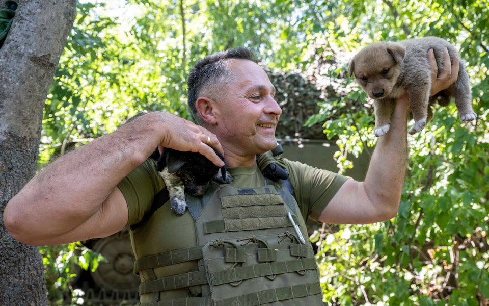 Cdr Victor Yurchuk with the puppies