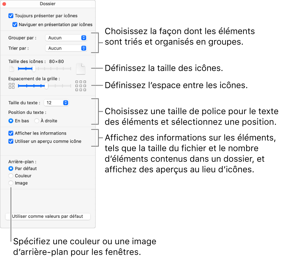 Les options de la présentation par icônes pour un dossier.