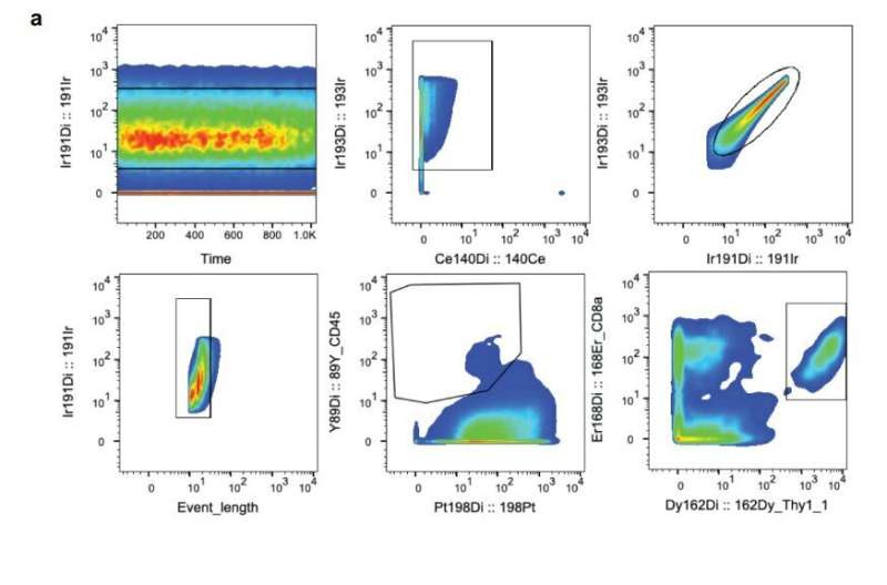 study identifies receptor that could alleviate need for chemo, radiation pre-T cell therapy