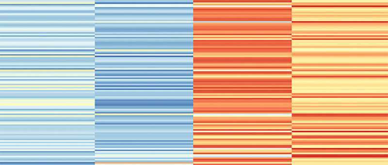 Can a human microglial atlas guide brain disorder research?