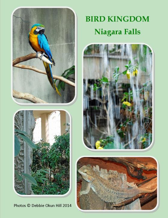According to the brochure, BIRD KINGDOM in Niagara Falls - Canada is the World's largest indoor aviary!