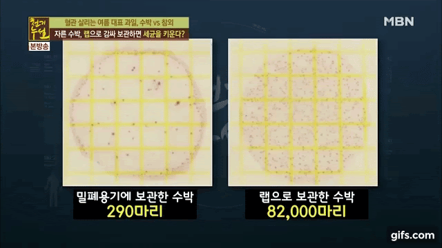 Đài MBN Hàn Quốc công bố: thói quen bảo quản dưa hấu ai cũng mắc phải khiến vi khuẩn tăng thêm 300 lần - Ảnh 6.