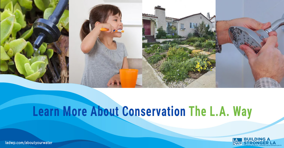 Water conservation image.jpg