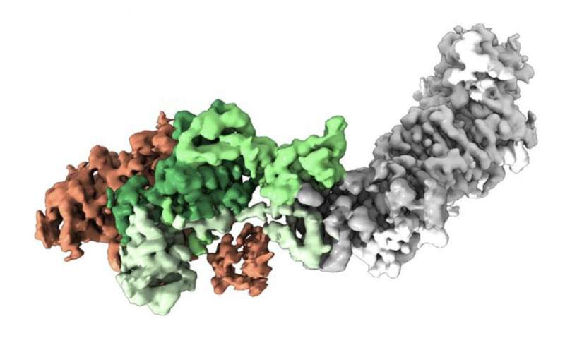 New Type of Vaccines Could Help Against More Respiratory Illnesses