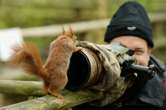 Nature                                                            Photographer