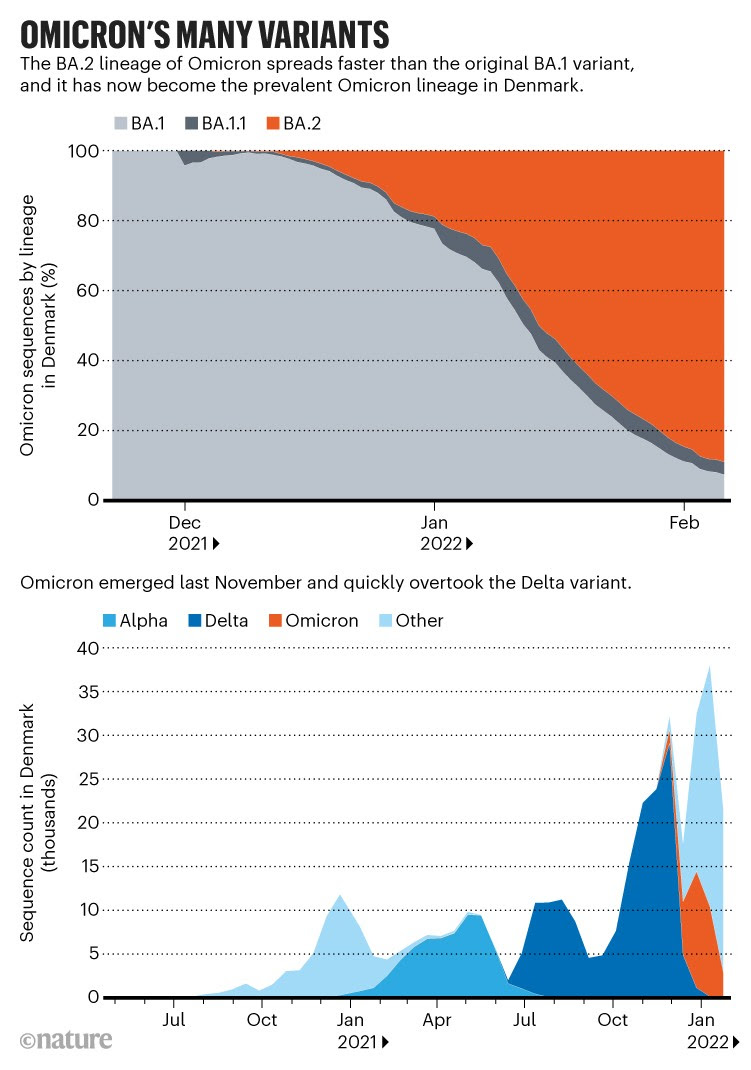 Omicron's many variants: Charts showing the spread of the Omicron BA.3 SARS-CoV-2 variant in Denmark.