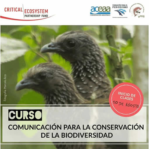 http://cebem.org/boletin/2020/aceaa_1/arte.jpg