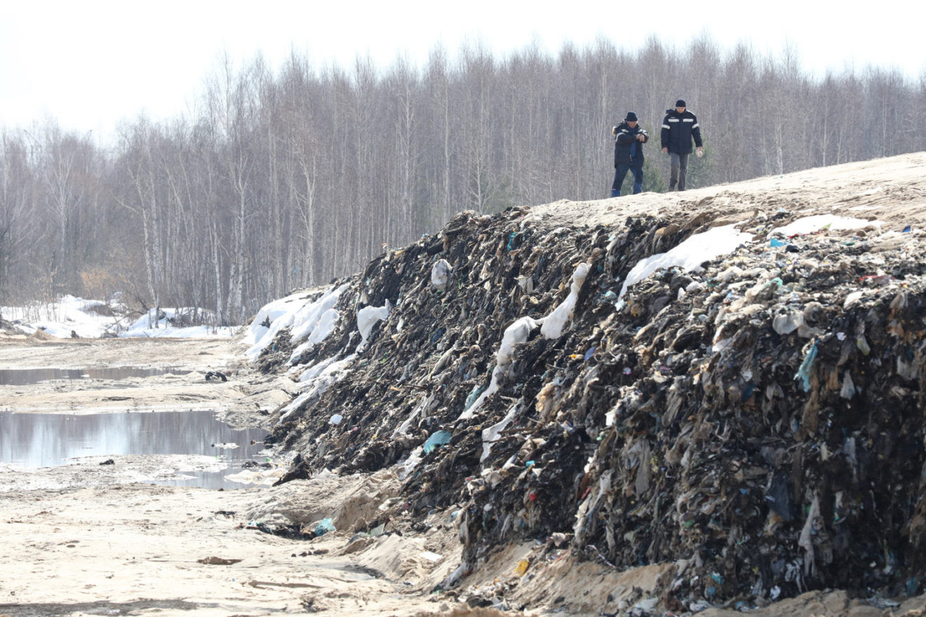 В Нижегородской области вырубают лес и закапывают ядовитые химические отходы