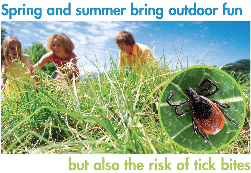Lyme Disease Studies at NIH