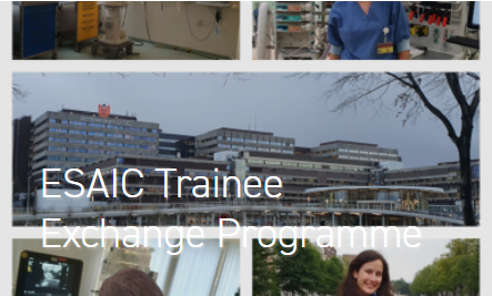 ESAIC Trainee Exchange Programme