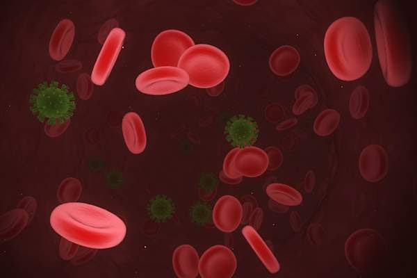 virus en sangre