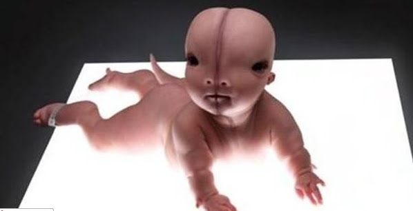 The Days of Noah have Returned: Aborted Babies Are Being Used to Create Animal Hybrids
