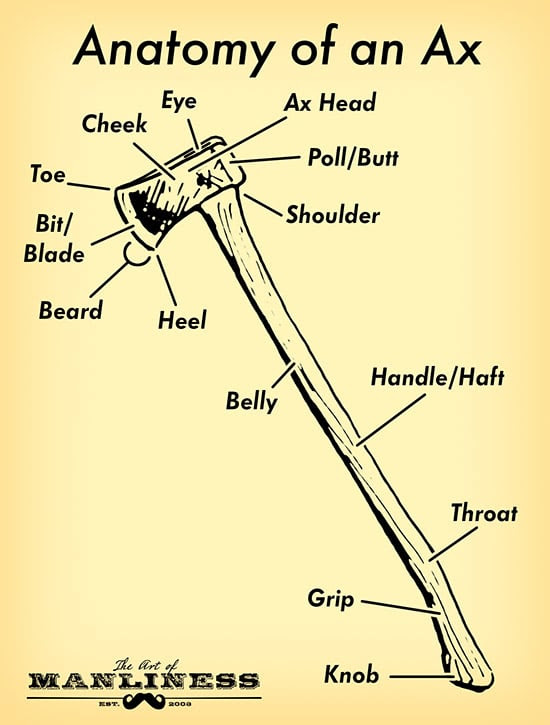 ax anatomy parts illustration diagram head handle