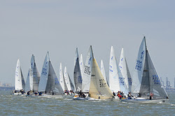 J/24s sailing at USA Nationals in San Francisco