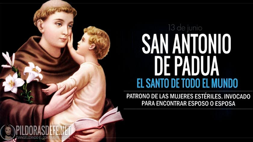 san antonio de padua sacerdote franciscano doctor de la iglesia santo de todo el mundo