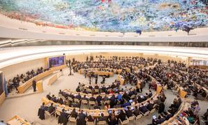 Совет ООН по правам человека собрался в Женеве на свою 55-ю сессию.  