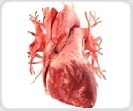 Cardiac fibroblasts contribute to heart disease