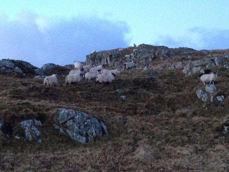 Embedded image permalink