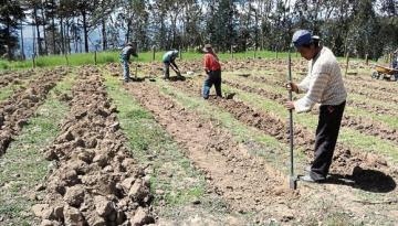 Seguro Agrícola beneficiaría a más de 4.000 agricultores al cierre de 2022