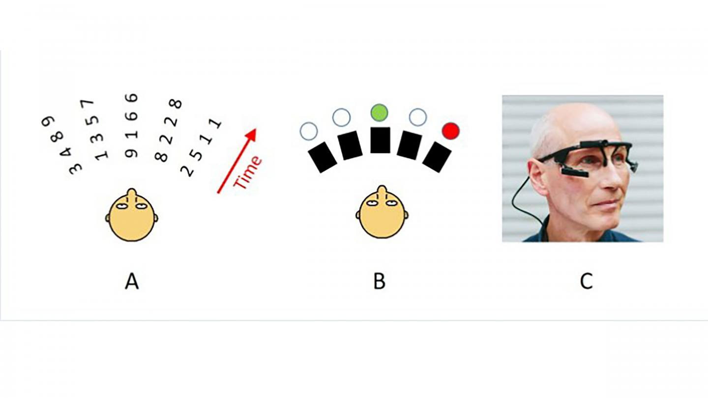 Several acoustic studies have shown that the position of your eyes determines where your visual spatial attention is directed, which automatically influences your auditory spatial attention