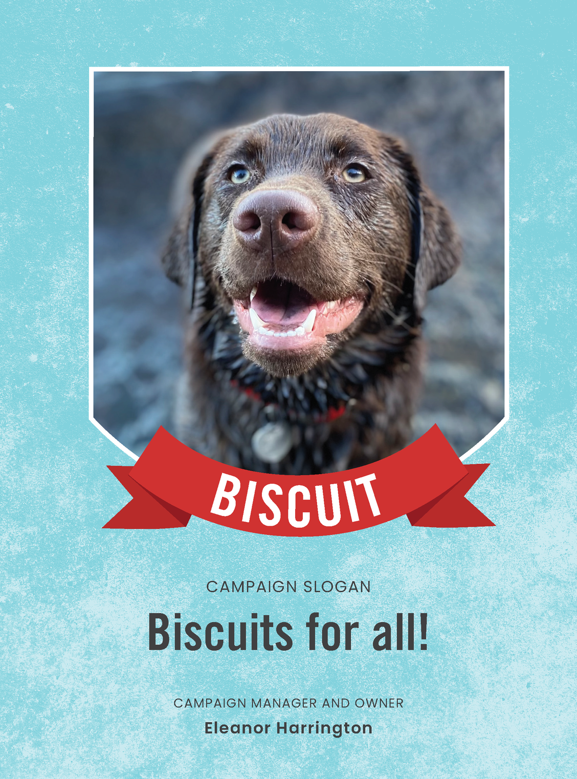 Vote for Biscuit!