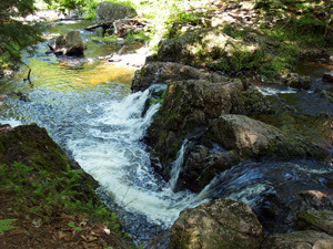 Porcupine Mountains Wilderness State Park is known for its remote backcountry experience.