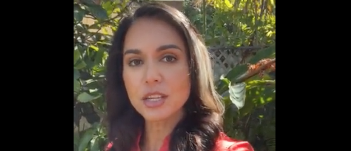 Tulsi Gabbard Blasts Politicians Labeling Rittenhouse A ‘White Supremacist Terrorist,’ Says He Wanted To ‘Protect People’