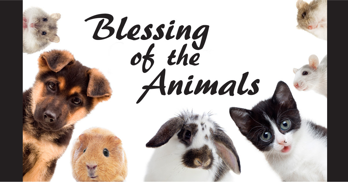 Image result for animal blessing