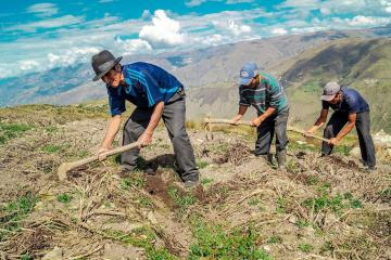 Voluntad política del Gobierno es apoyar a la agricultura