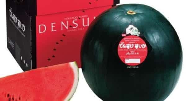 Densuke Black Watermelon melancia mais cara