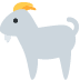 Goat