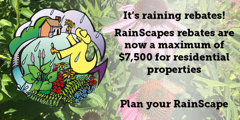 rainscapes-rewards-rebate-program