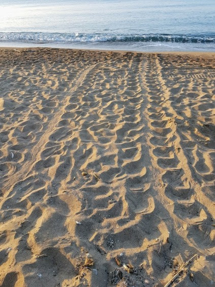 20180709_070049