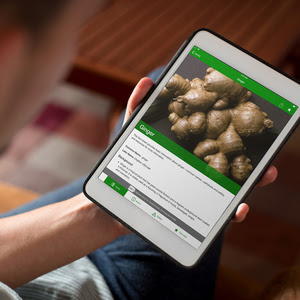HerbList App ginger