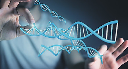 Общая длина молекул ДНК в теле человека превышает расстояние от Земли до Солнца.	Иллюстрация Depositphotos/PhotoXPress.ru